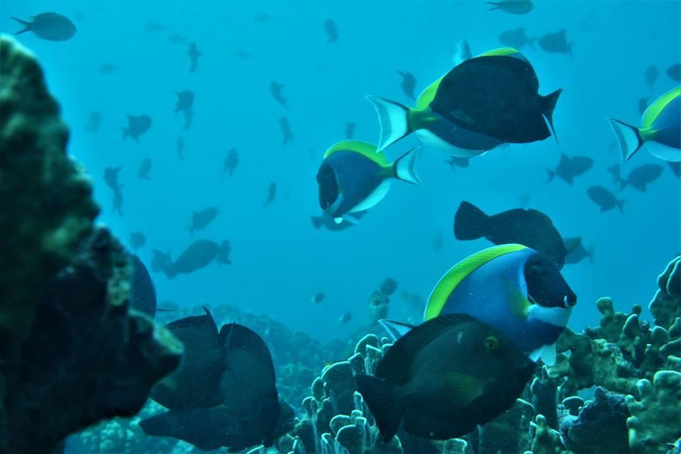 Pulau Weh Paradise Sabang  Zewnętrze zdjęcie
