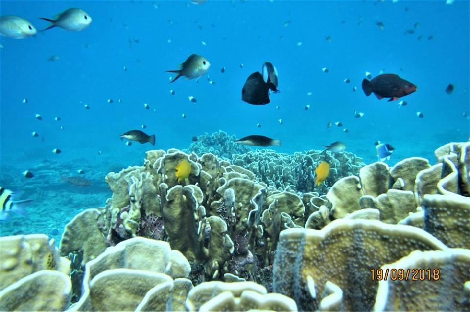 Pulau Weh Paradise Sabang  Zewnętrze zdjęcie