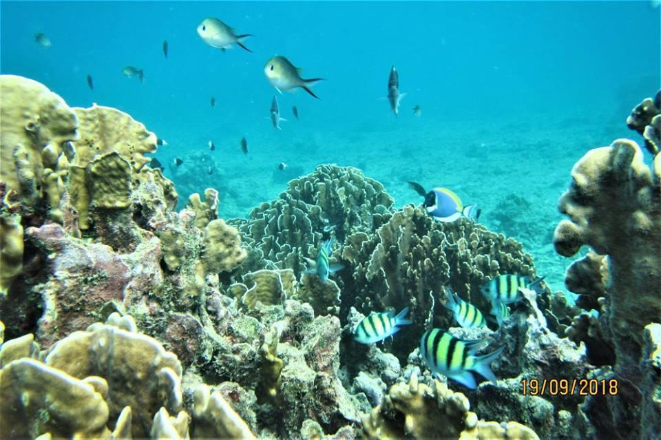 Pulau Weh Paradise Sabang  Zewnętrze zdjęcie